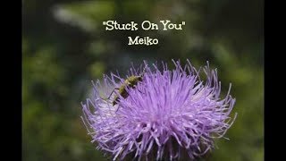 Stuck On You (Lyrics) - Meiko