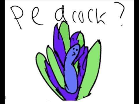 Longmonth Potion Castle - Beef House 2 (Animated)