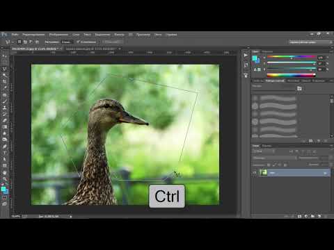 #ADOBEPHOTOSHOP Урок 9.2 - Выделение. Выделение произвольной формы. Лассо