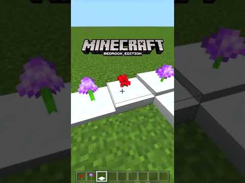 ¡DIFERENCIAS Entre MINECRAFT JAVA Vs BEDROCK! 👀 #shorts