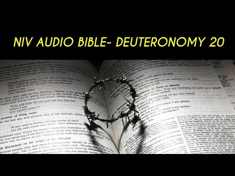 DEUTERONOMY 20 NIV AUDIO BIBLE (with text)