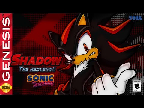 Shadow the Hedgehog in Sonic the Hedgehog - Hack Sega Genesis