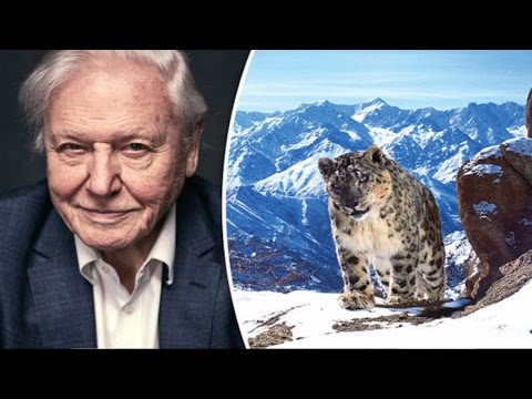 "Planet Earth 2" (2016) David Attenborough BBC Review