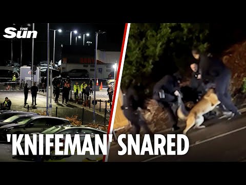 Dramatic moment Huntingdon train ‘knifeman’ is Tasered & arrested by police as 2 fight for life