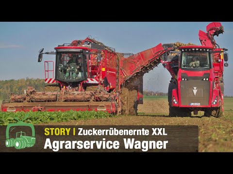Zuckerrübenernte bei Agrarservice Wagner | Holmer Terra Dos 5-40 mit HR 12 im Einsatz | Werksbesuch