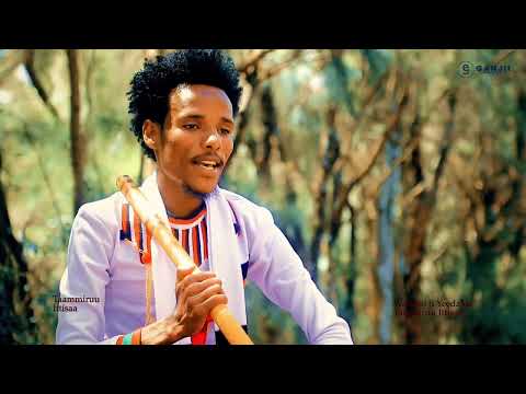 Daangaa Ittisaa "SEESAA" boru galgala eegadhaa