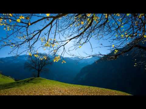 Hoxhë Besfort Maxhuni - "Serioziteti në Fe" (Hutbe)