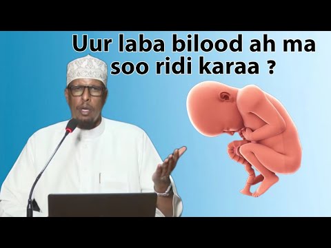UUR 2BILOOD AH MA LA SOO TUURI KARAA ? SHEEKH MAXAMUUD SHIBLI , ILMAHA MA ISKA SOO RIDI KARAA ?