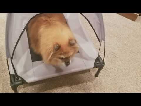 User submitted video