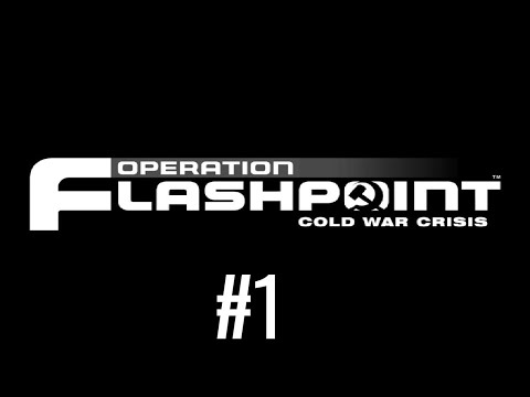 Operation Flashpoint: Cold War Crisis / ARMA: Cold War Assault [1]