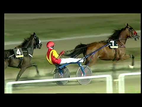 Napoli Trotto 30/07/2022 - 8ª corsa