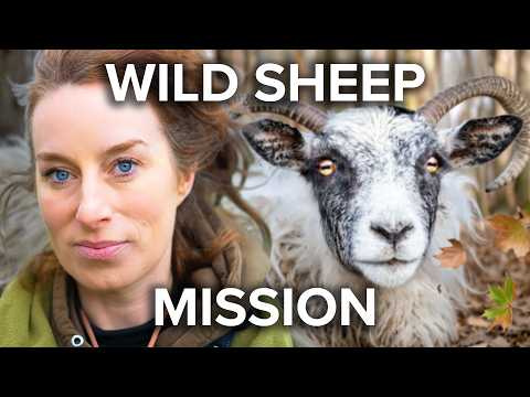 Wild & Tame and CSJ Specialist Canine Feeds