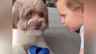 Miniature vidéo