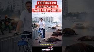 🚨 Dziki w Warszawie = problem czy raczej brak pomysłu rządzących?
