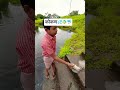 कोकणातील वलगण Kokan Agrikoli Fishing