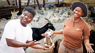 How A Young Female Computer Science Graduate Became A Farmer In Botswana!🇧🇼