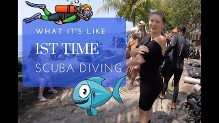 Discover Scuba Diving - First Time Try Dive!