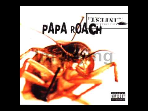 Opening lyrics of Papa Roach's “Last Resort” make up all of