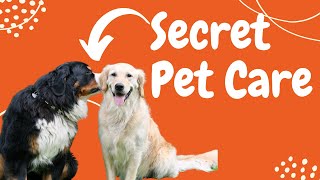 The Secret Ingredient That Can Boost Your Pet's Health Naturally