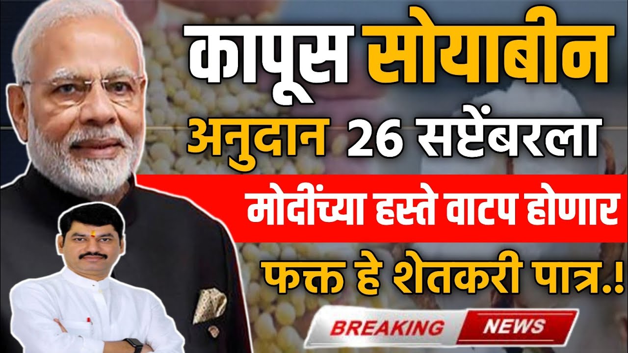 कापूस सोयाबीन अनुदान 26 सप्टेंबरला येणार | soyabean kapus anudan kadhi yenar | Kapus Soyabean Anudan