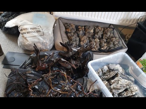 240l Aquascape start to finish. All the gear and a little idea! (Episode 1)