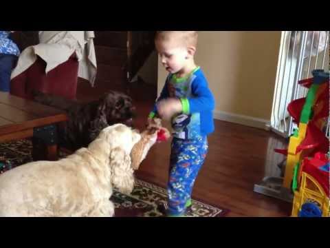 YouTube video thumbnail