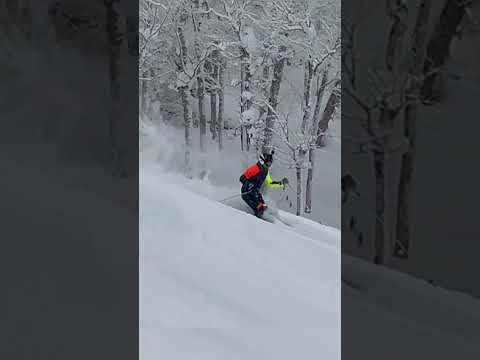 ルスツの新雪パウダー
