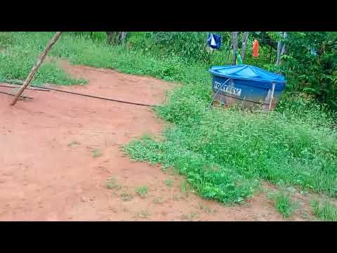 Mostrando um lindo amanhecer no sítio Jucás ceara 