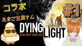 【コラボ】ミラコの協力ダイイングライト【たまご豆腐さん】