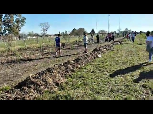 LA LOMITA. ARBOLES QUE SON FUTURO…