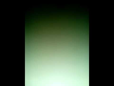 Flower petals ( my own song )