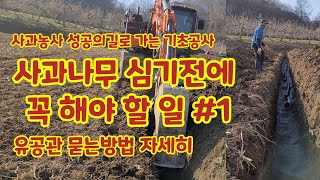 사과나무 심기전에 꼭 해야할일 사과농사 성공으로가는길  유공관공사