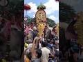 Thrissur Pooram Kerala Festival Pooram Elephant Shorts India Trending Travel