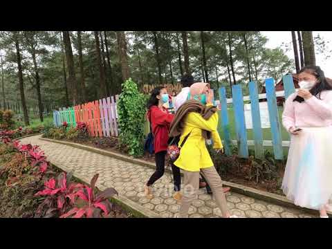 gagal-di-prank-bushman-prank-prank-manusia-pohon