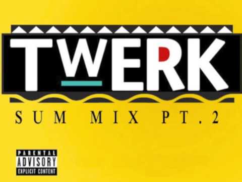 DJ Hypnotiq's Twerk Sum Mix Pt 2