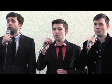 Poarta-i pe umerii Tai - Grup Ammiel