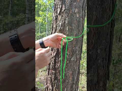 Штык и Булинь #узлы #узел #паракорд #березакорд #бушкрафт #выживание #outdoor #bushcraft #户外活动