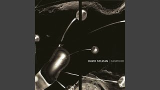 Big Wheels In Shanty Town