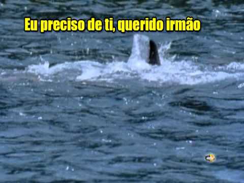 Corpo e Familia video