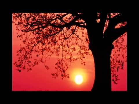 Sin Sisamuth Song Tek Dei Koh Kong -Mlub Paur Bakerng Reatrei Rnauch