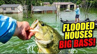 Fishing these FLOODED Houses for BIG Bass!