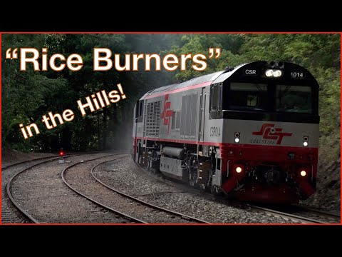 SCT "rice burners" climb the grade to Lofty'