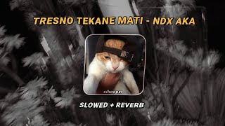 Download lagu TRESNO TEKANE MATI - NDX AKA ( slowed lirik ) mp3 Download lagu TRESNO TEKANE MATI - NDX AKA ( slowed lirik ) mp3