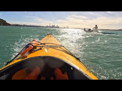 Auckland sea kayaking