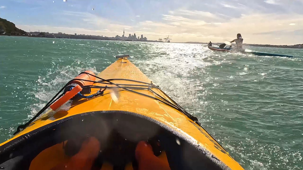 Auckland sea kayaking