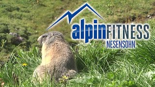 preview picture of video 'Tiere der Alpen #2 / Animals of the Alps #2 (1/2014)'
