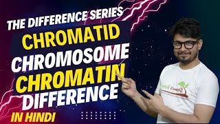 Chromatid vs chromosome vs chromatin | The difference