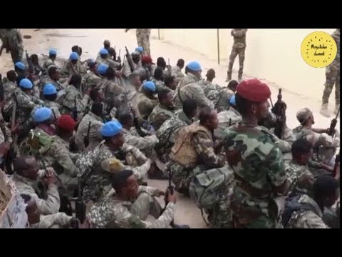 Awdheegle eryaa eryaa eryaa