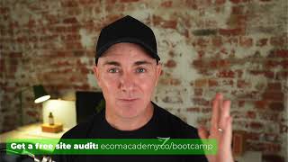 Live Shopify Store Audits