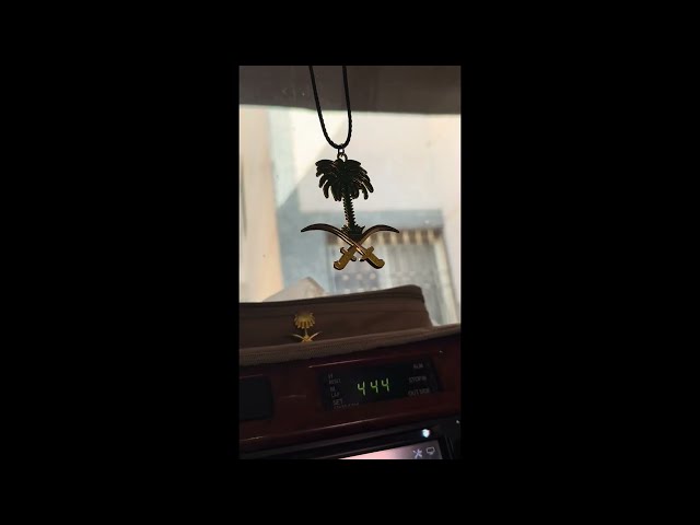 فيديو لتعليقة سيفين ونخلة